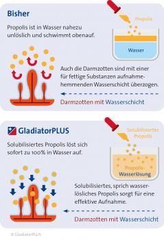 Preview: GladiatorPLUS Hund - die Milieufütterung